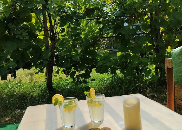 Balatoni Mandala Vendeghaz * Balatonszárszó