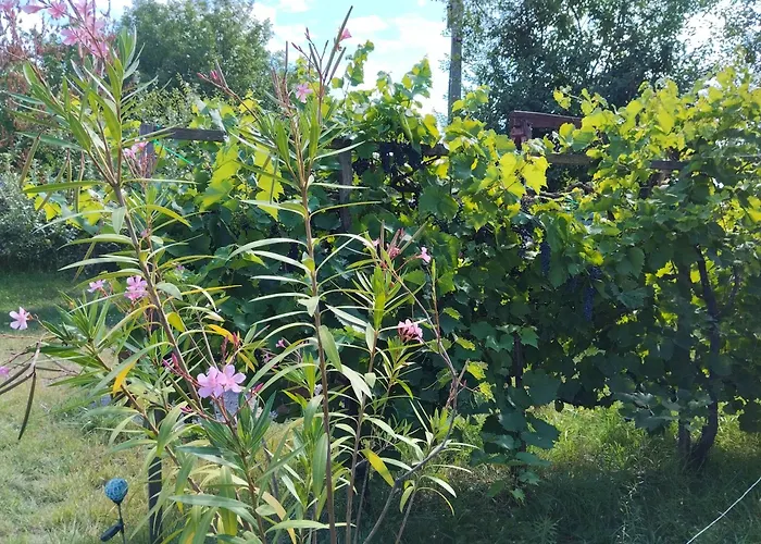 Vakantiehuis Balatoni Mandala Vendeghaz Balatonszárszó